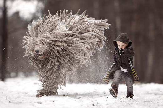 	dog 